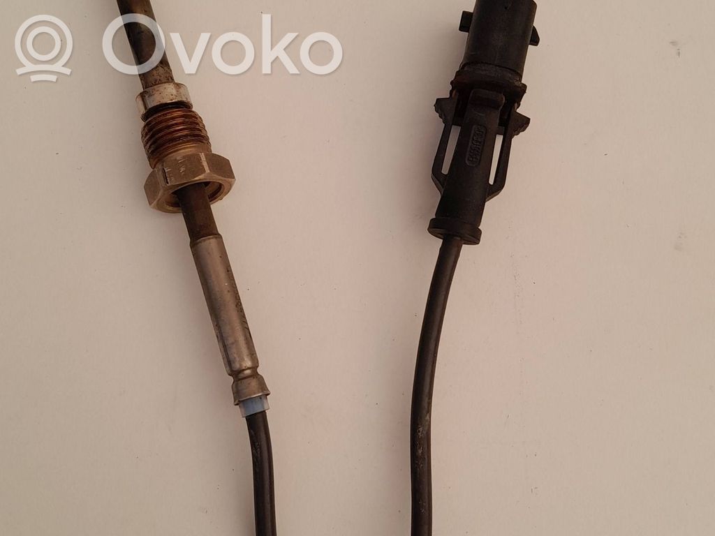 Opel Meriva B Išmetamųjų dujų temperatūros daviklis 