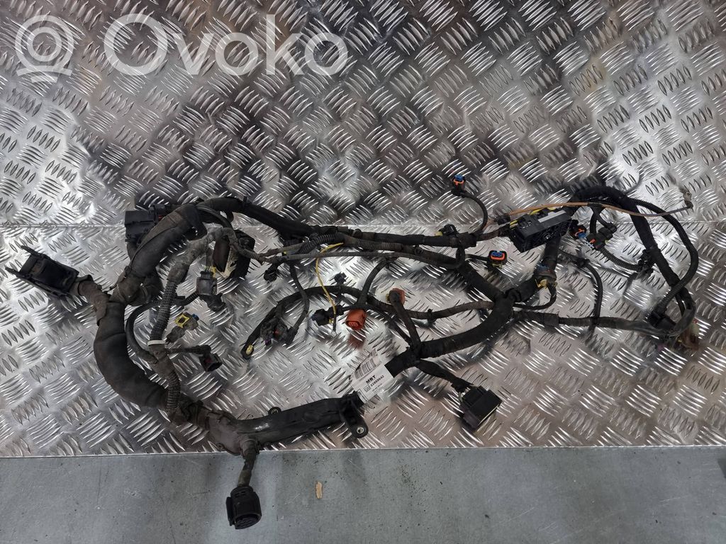 Engine installation wiring loom   22869642