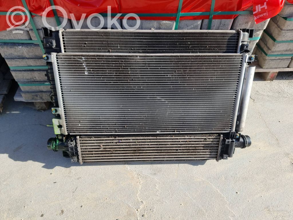 Radiatora komplekts   95321787