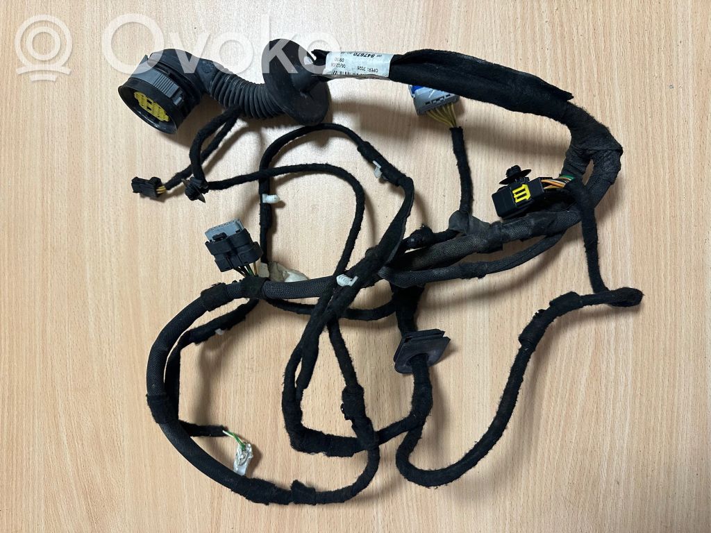 Citroen C5 Cableado de puerta delantera 