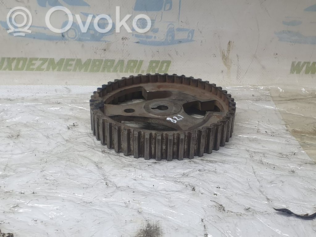 Puleggia dell’albero a camme/VANOS   9819923680