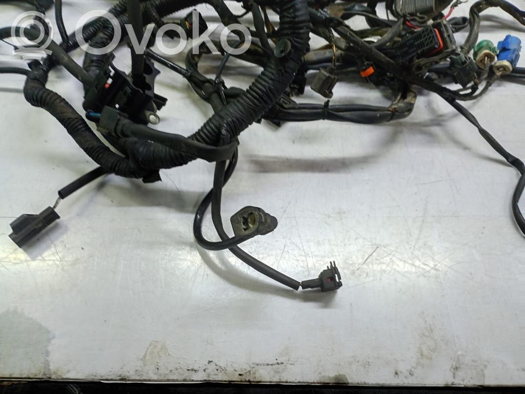 Ford Focus Cableado de instalación del motor 