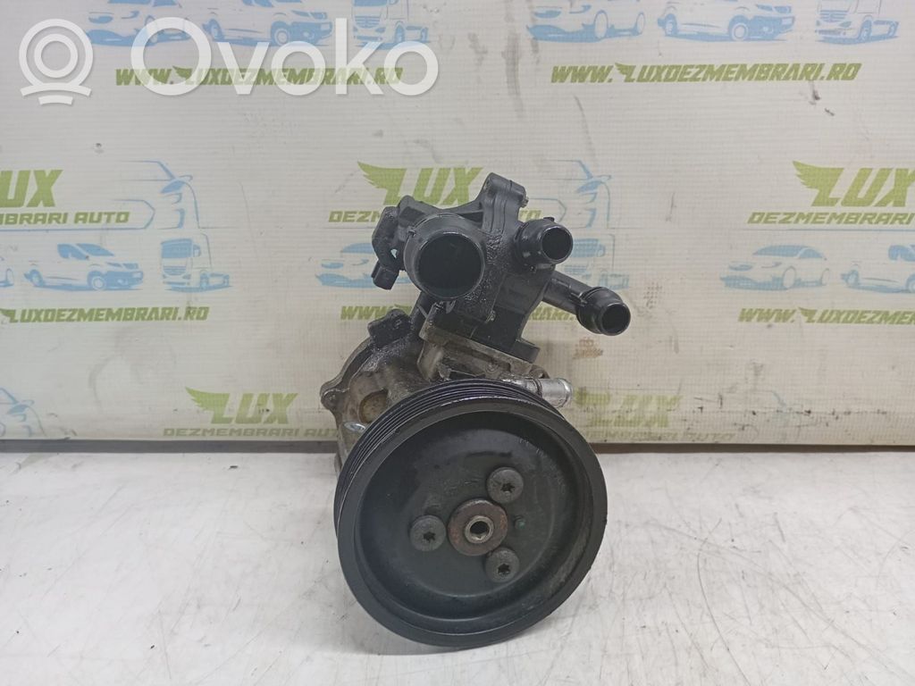 Power steering pump   8675955109
