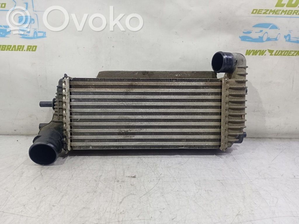 Interkūlerio radiatorius   BV619L440CJ