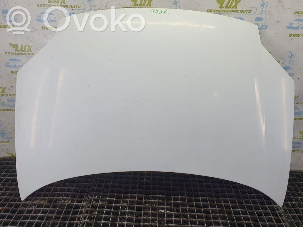 Konepelti   7901P7