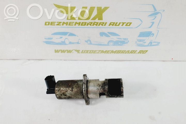Válvula EGR   19DCI