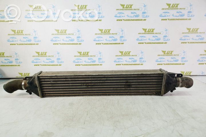 Fiat Doblo Chłodnica powietrza doładowującego / Intercooler 