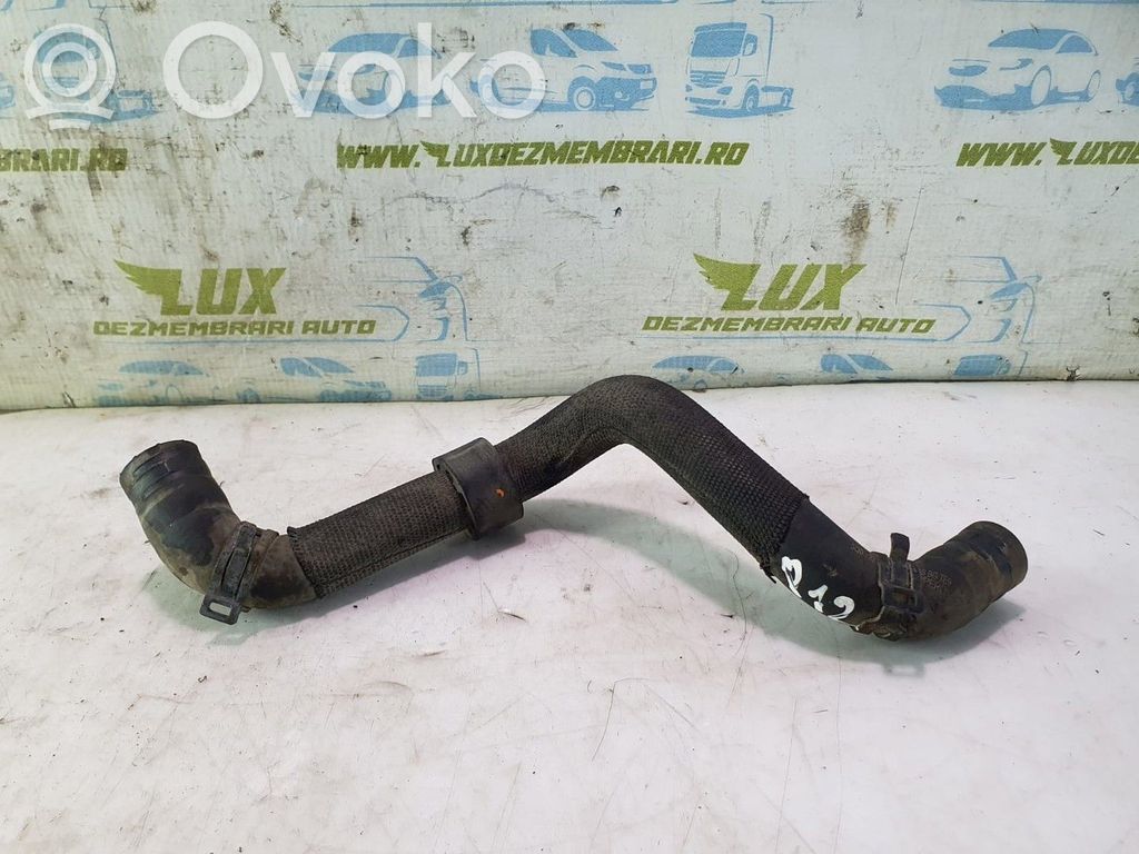 Seat Leon (5F) Variklio aušinimo vamzdelis (-ai)/ žarna (-os) 