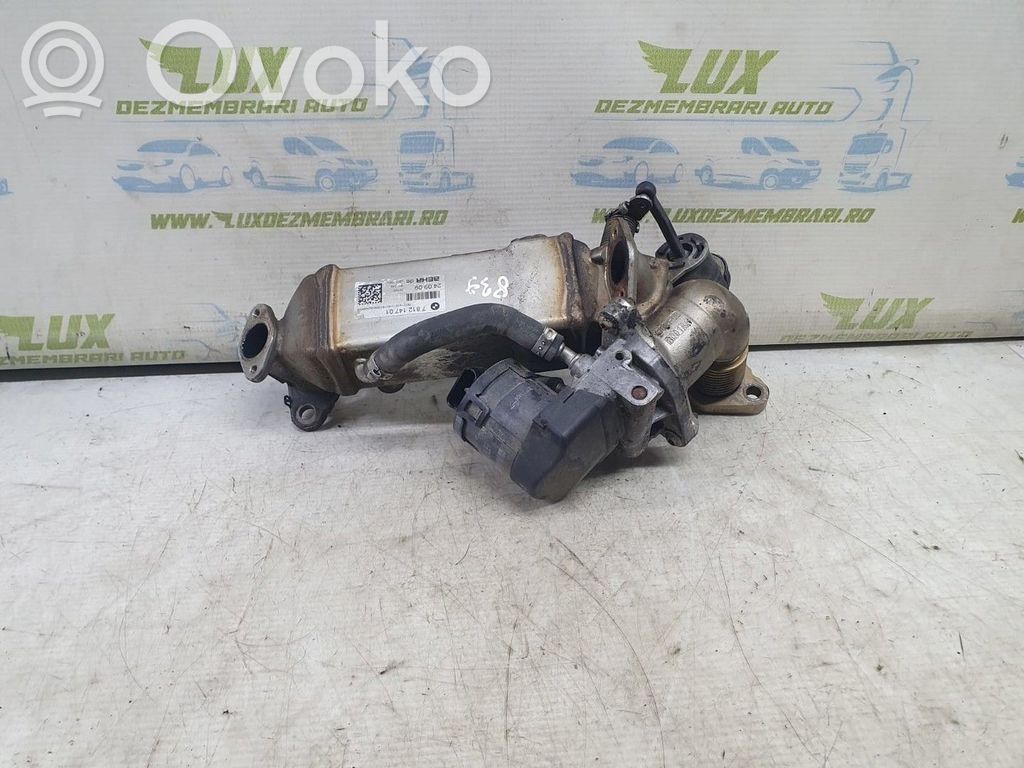 Valvola di raffreddamento EGR   N47D20C,N47D20C