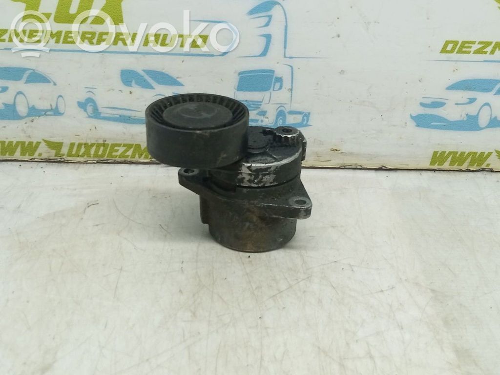 Mercedes-Benz E W211 Tendicinghia generatore/alternatore 