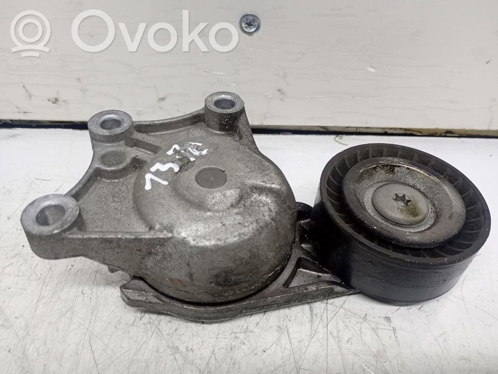 Peugeot 508 Koło pasowe napinacza paska alternatora 
