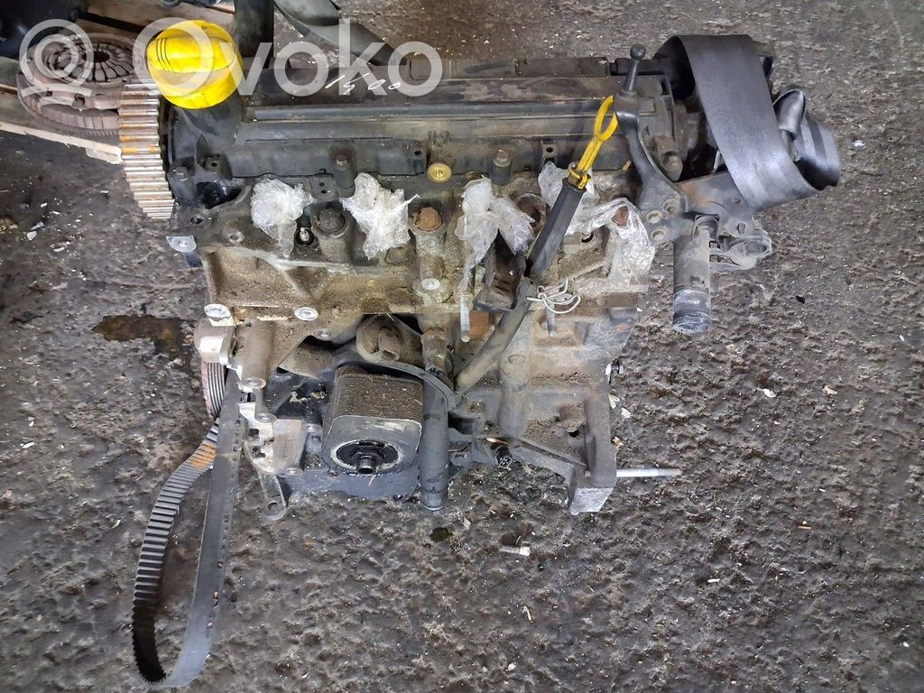 Renault Clio III Motor 