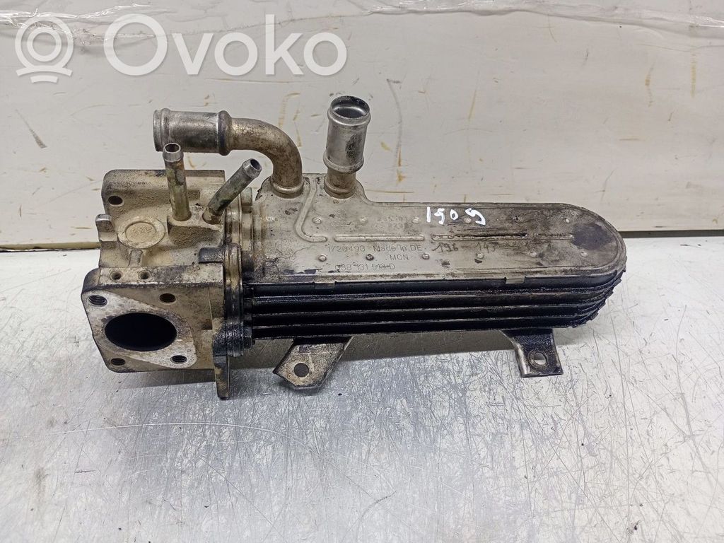 Volkswagen Golf IV Răcitor supapă EGR