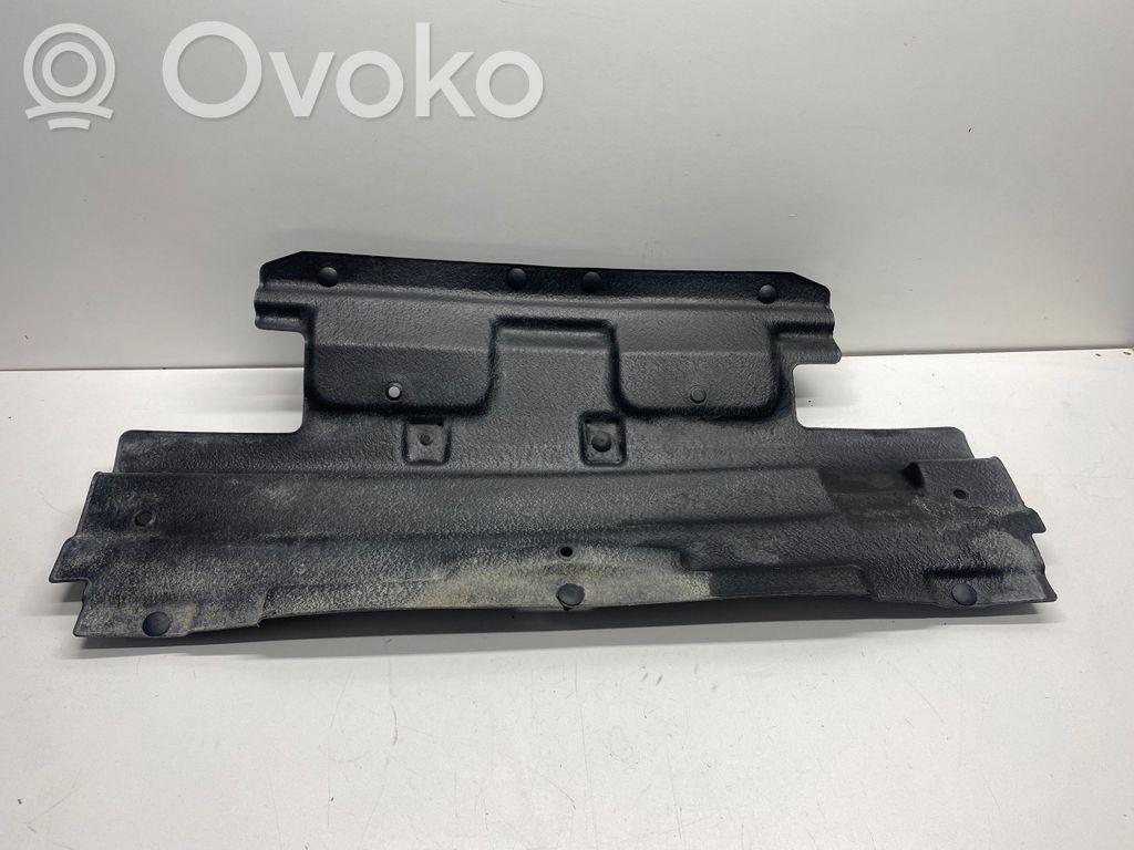 Dodge RAM Radiatoriaus oro nukreipėjas (-ai) 