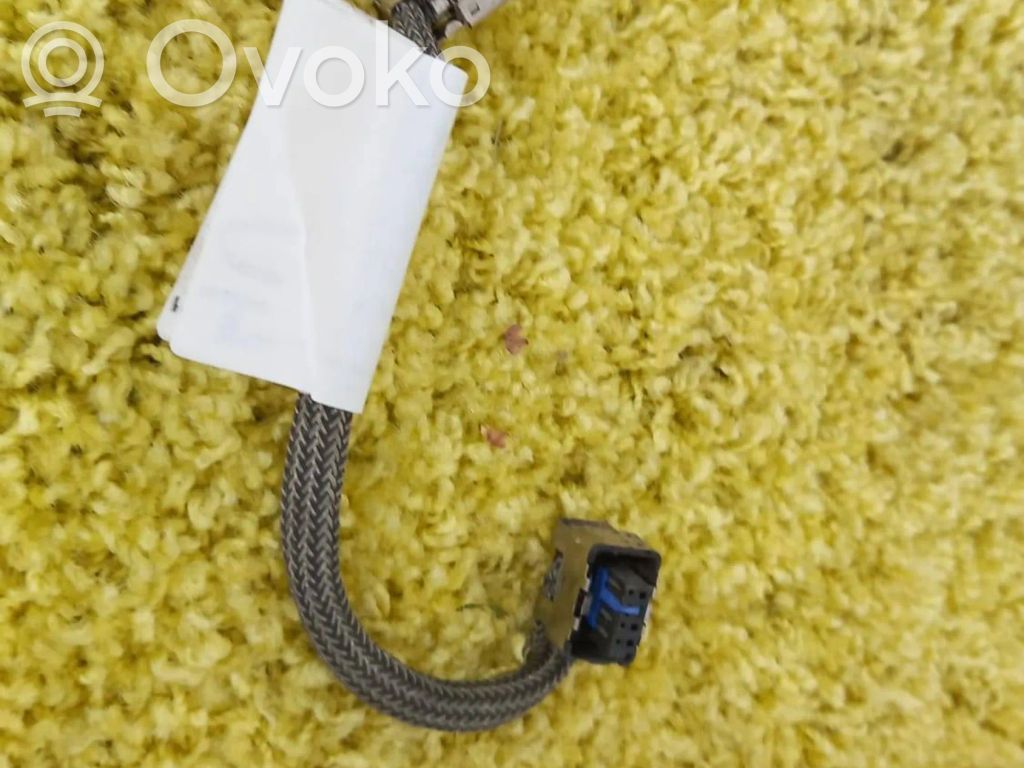 Peugeot 607 Sonstige Kabelbäume / Leitungssätze 