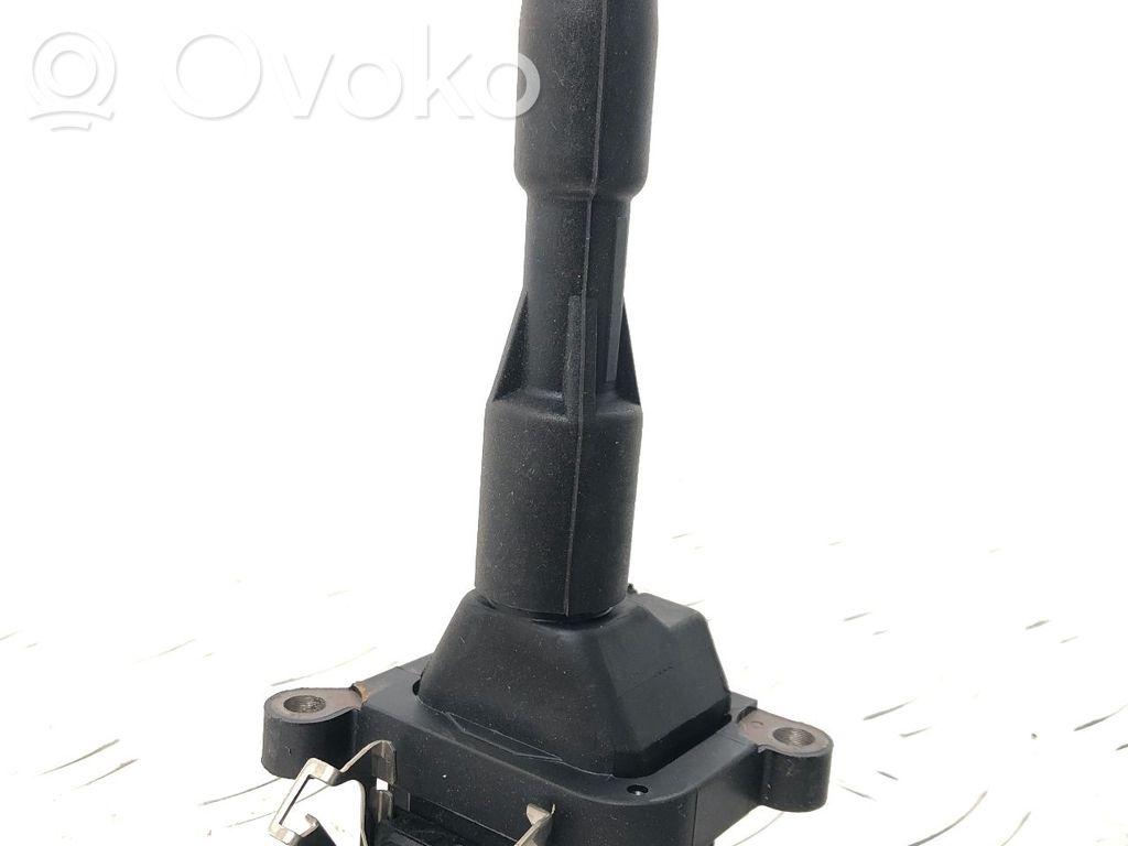 High voltage ignition coil   12131703228