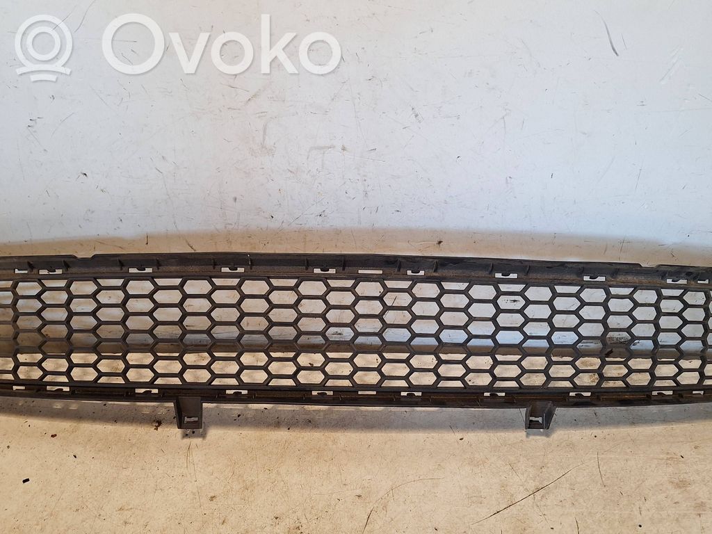 BMW X5 E70 Front bumper lower grill 