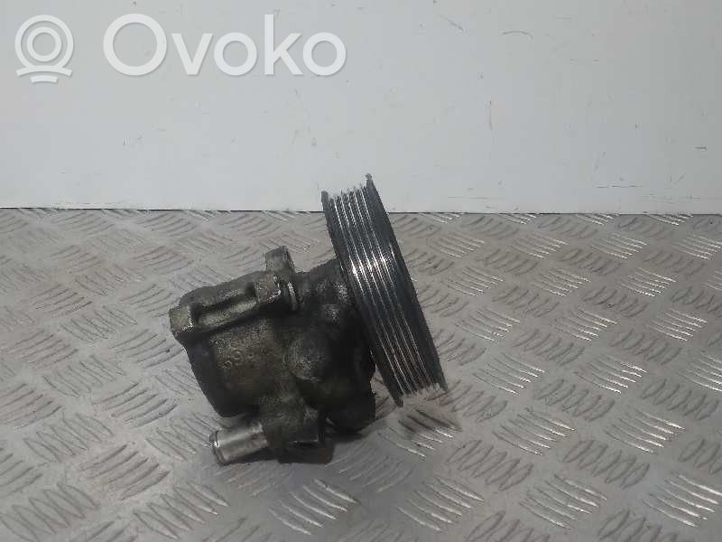 Volkswagen New Beetle Power steering pump 