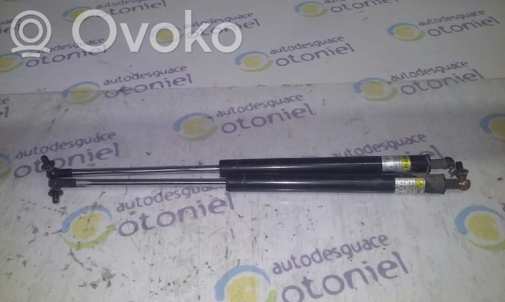 Daewoo Lanos Tailgate/trunk strut/damper 