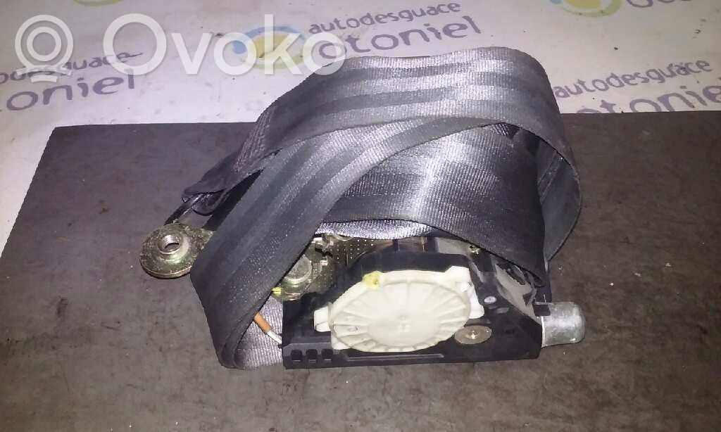 Cinturón trasero
