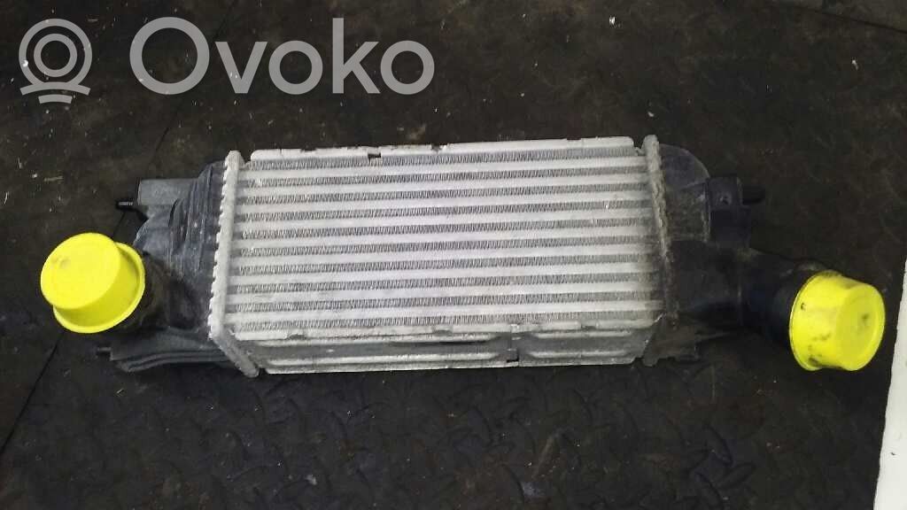 Citroen C5 Interkūlerio radiatorius 