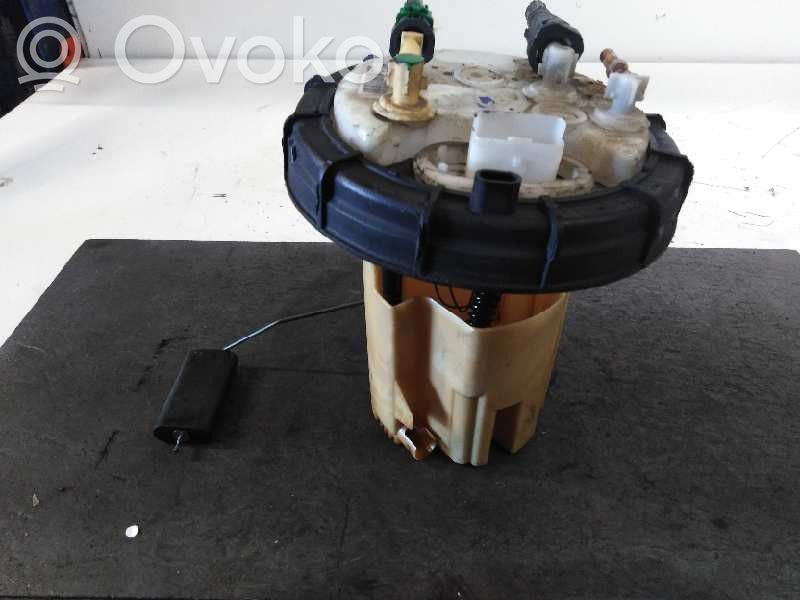 Peugeot 407 In-tank fuel pump 