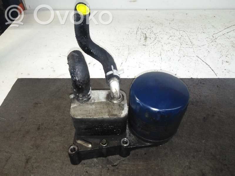 Ford Focus Engine oil radiator 