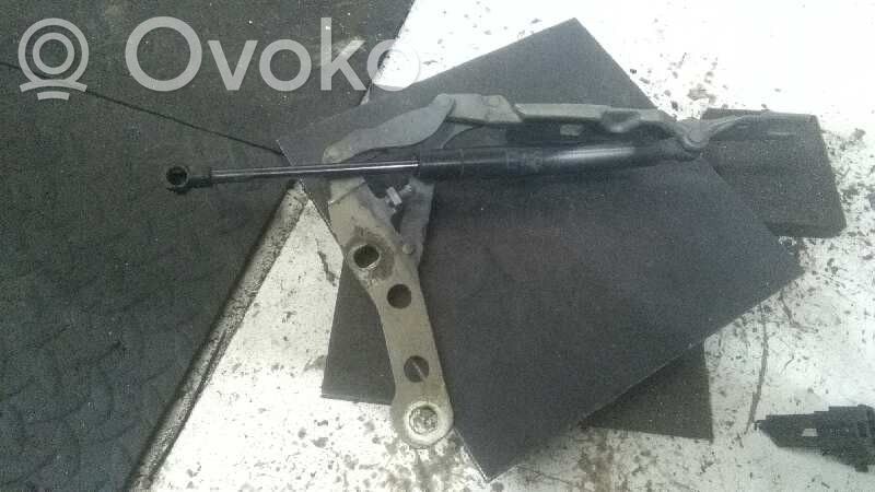 Engine bonnet/hood hinges
