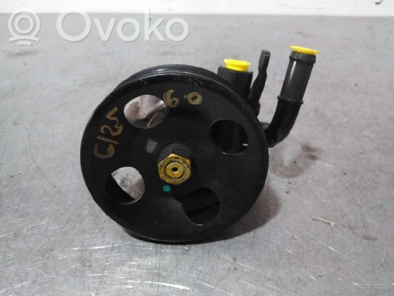 Hyundai Accent Power steering pump 