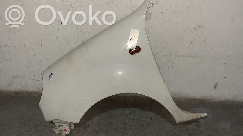 Renault Kangoo I Guardabarro 