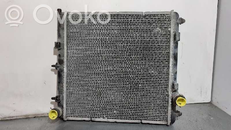Citroen C2 Coolant radiator 