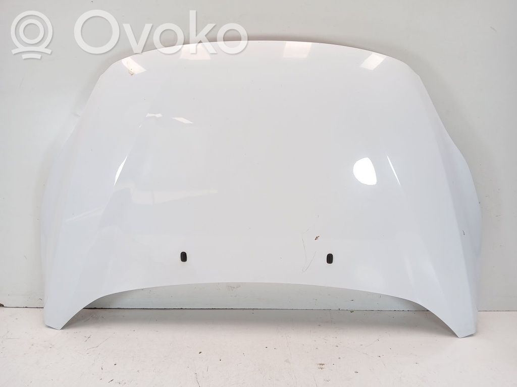 Capó/tapa del motor