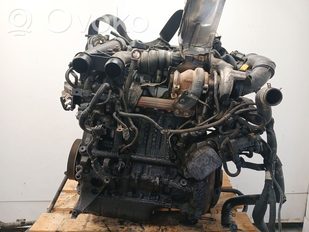 Variklis   9HP,0135RG,0139WX