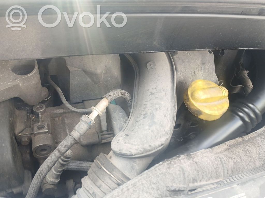 Renault Modus Dzinējs 