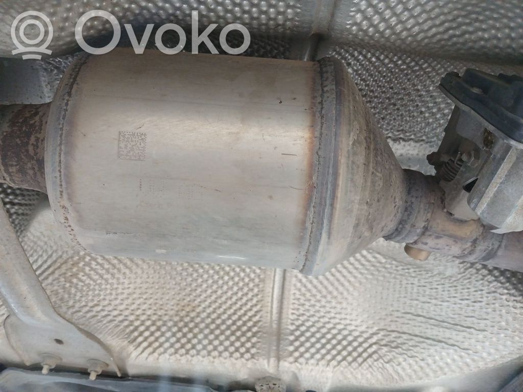 Skoda Yeti (5L) Filtro antiparticolato catalizzatore/FAP/DPF 