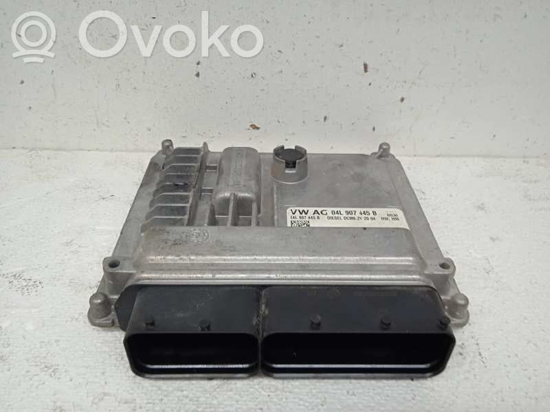 Engine control unit/module   04L907445B,28445556,DELPHI