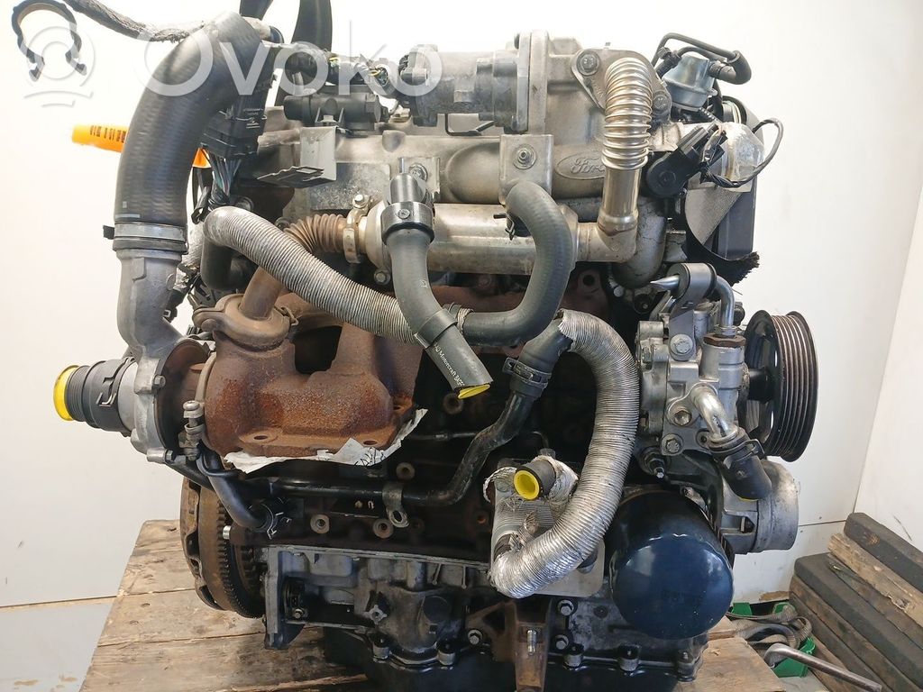 Ford Transit Motore 