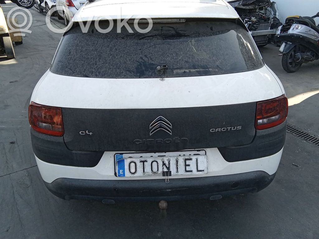 Citroen C4 Grand Picasso Puerta trasera