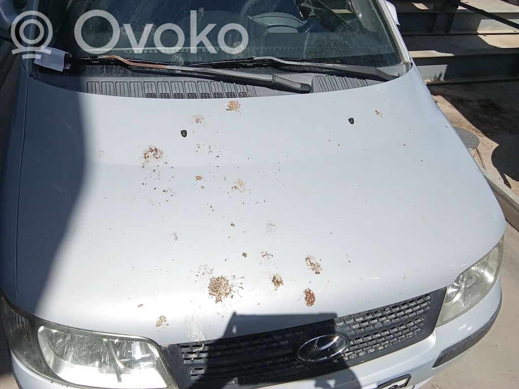 Hyundai Matrix Engine bonnet/hood 