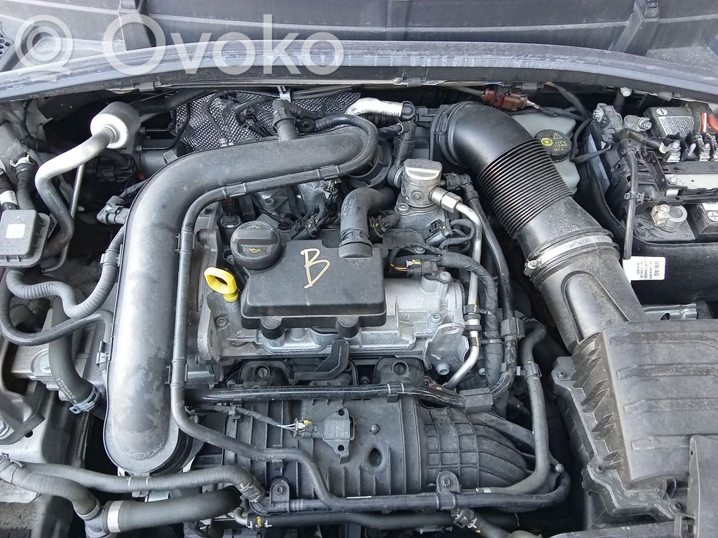 Skoda Fabia Mk4 (6VA) Двигатель