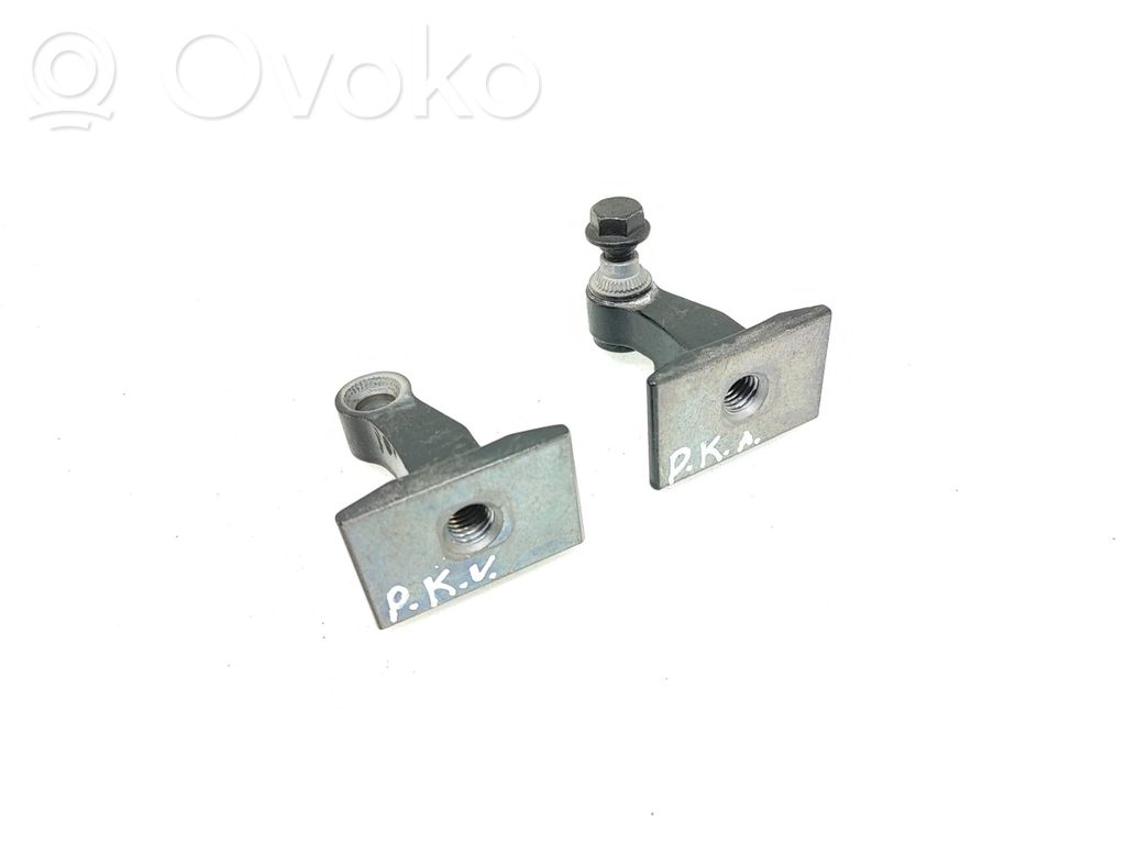 BMW i4 Front door hinges set 