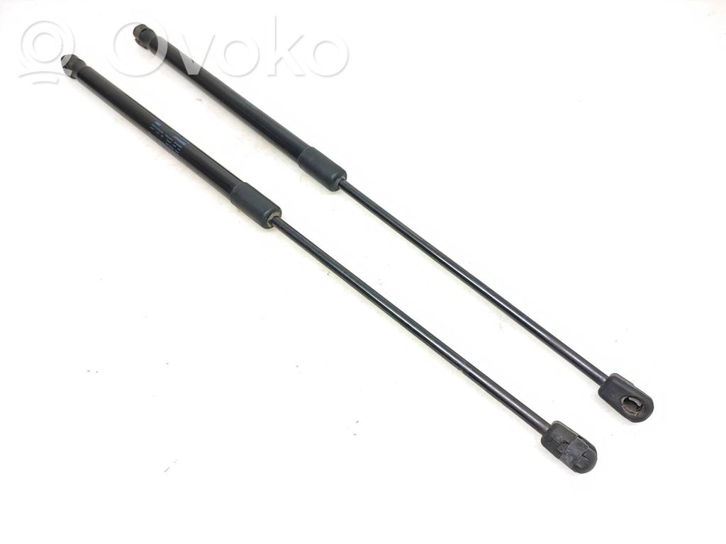 Skoda Yeti (5L) Tailgate/trunk strut/damper 