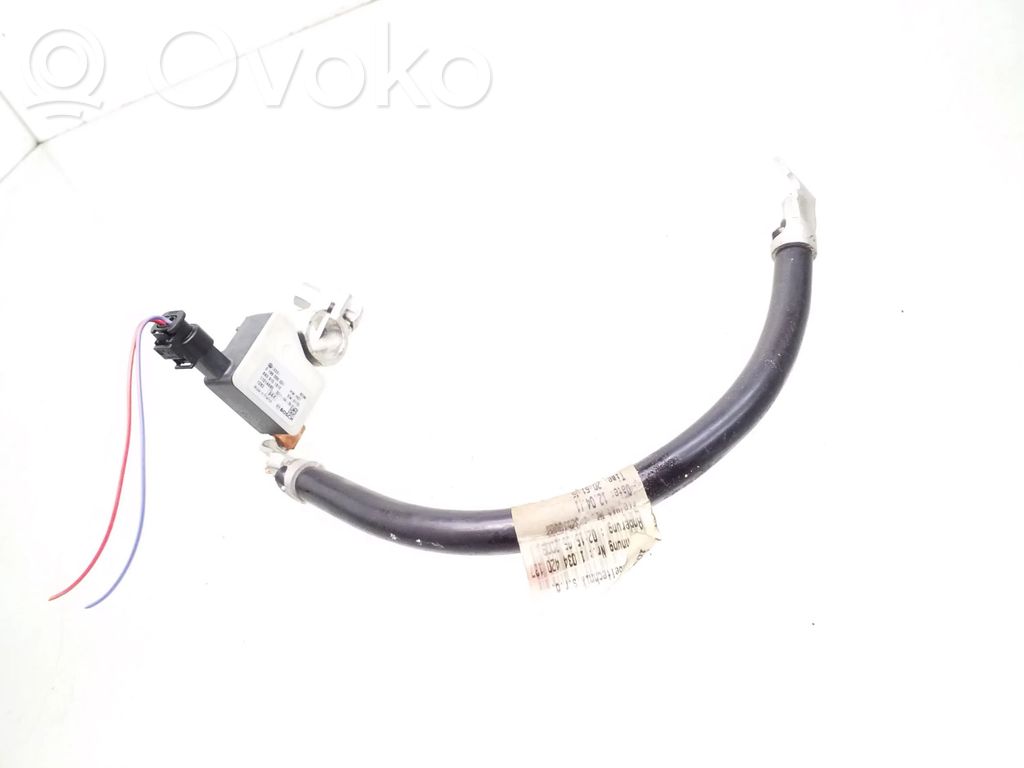 Audi A5 Sportback 8TA Negative earth cable (battery) 
