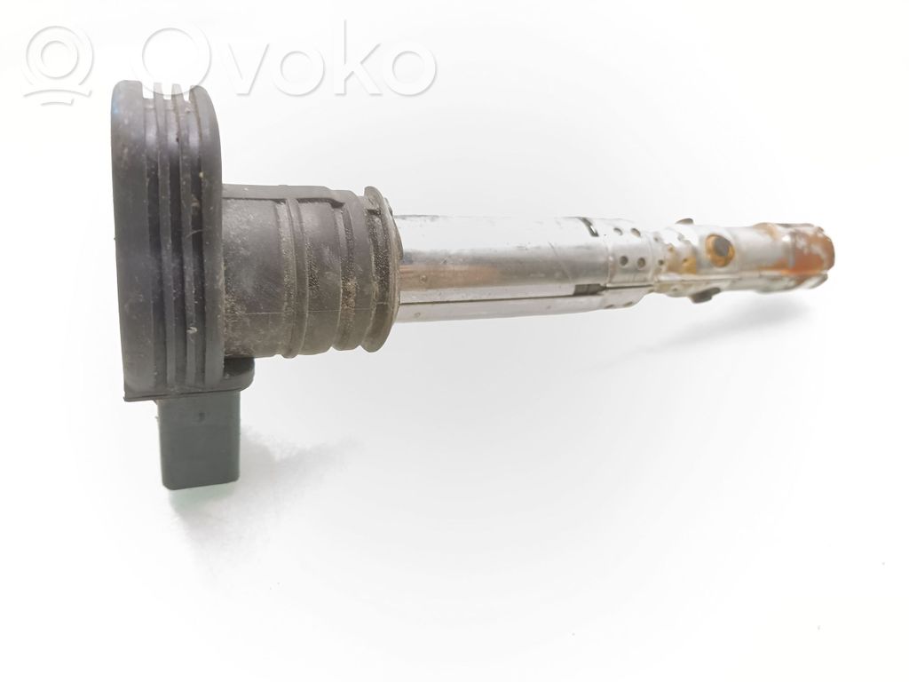 Volkswagen Golf V Aukštos įtampos ritė "babyna" 