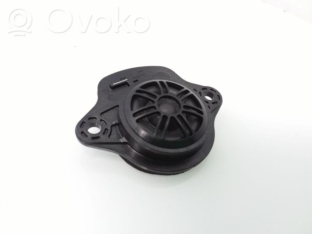 Tesla Model 3 Panel speaker 