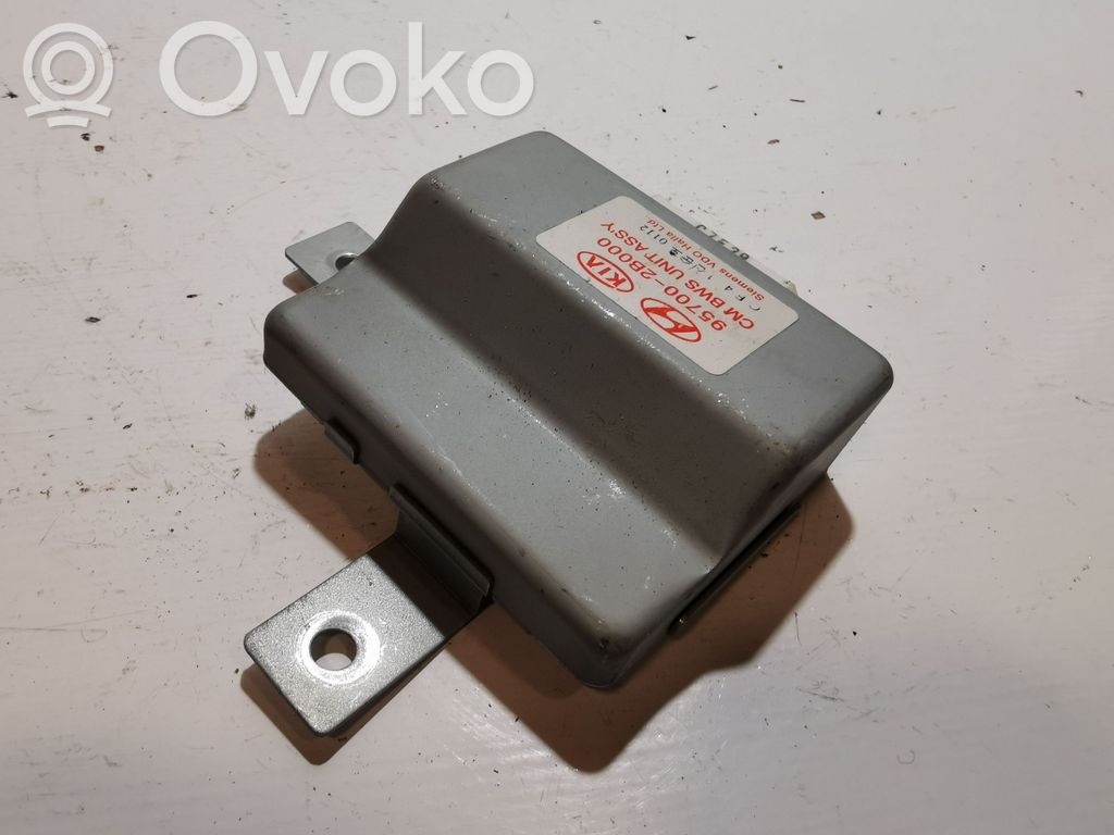 Hyundai Santa Fe Parking PDC control unit/module 
