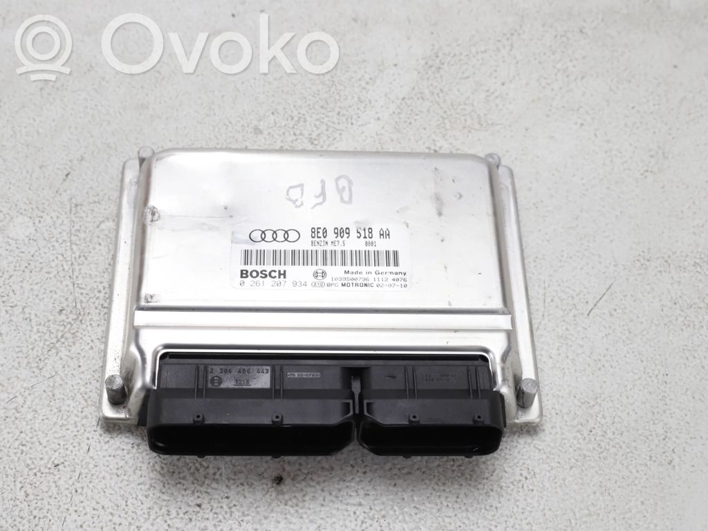 Audi A4 S4 B6 8E 8H Engine control unit/module 