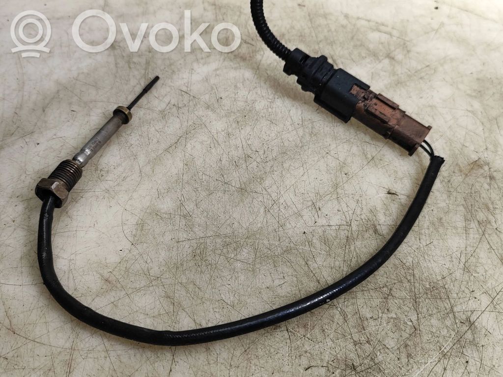 Peugeot 5008 Exhaust gas temperature sensor 
