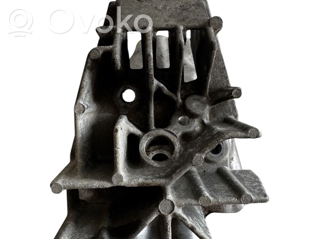 Renault Clio III Fuel Injector clamp holder 