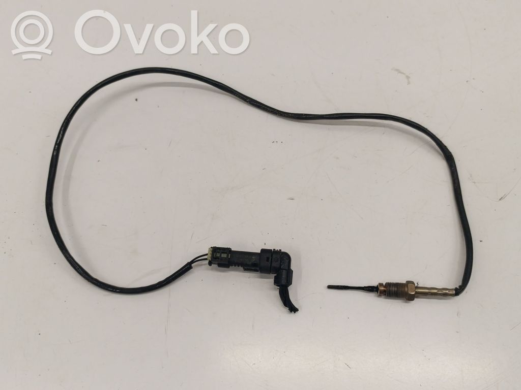 BMW 2 F44 Exhaust gas temperature sensor 